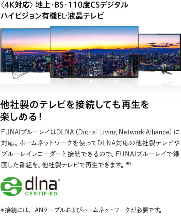 〈4K対応〉地上・BS・110度CSデジタルハイビジョン有機EL・液晶テレビ 他社製のテレビを接続しても再生を楽しめる!