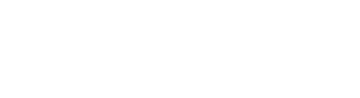 4K映像のʻ美ʼを、余すところなく映す。