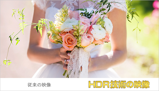 5 高コントラスト