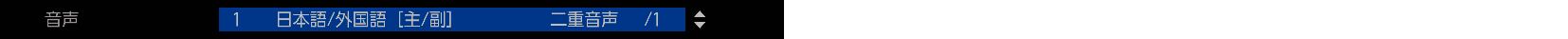 Screen_AudioSwitch